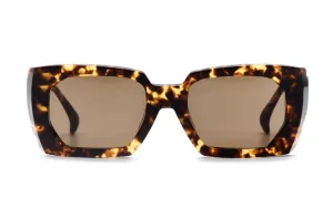 AM Eyewear Dom Tort