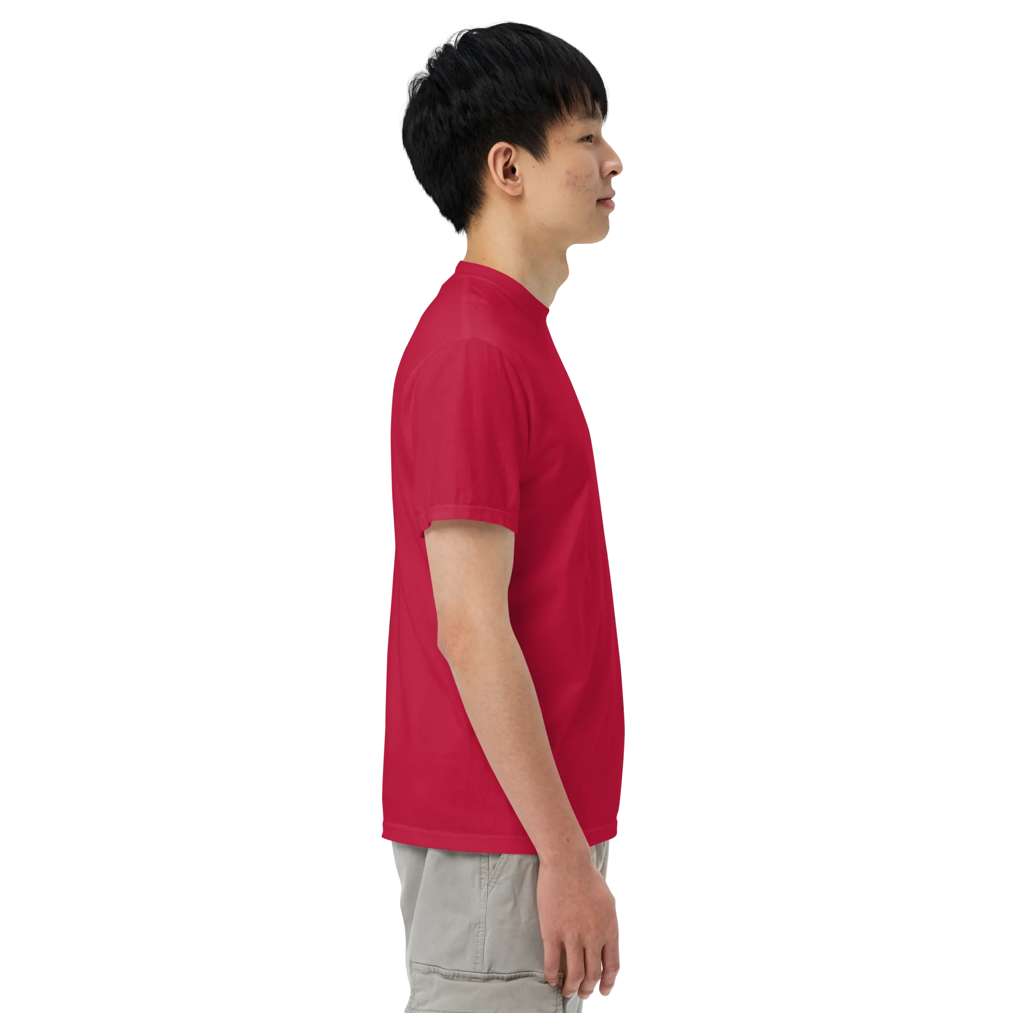 Canis Alpine heavyweight t-shirt
