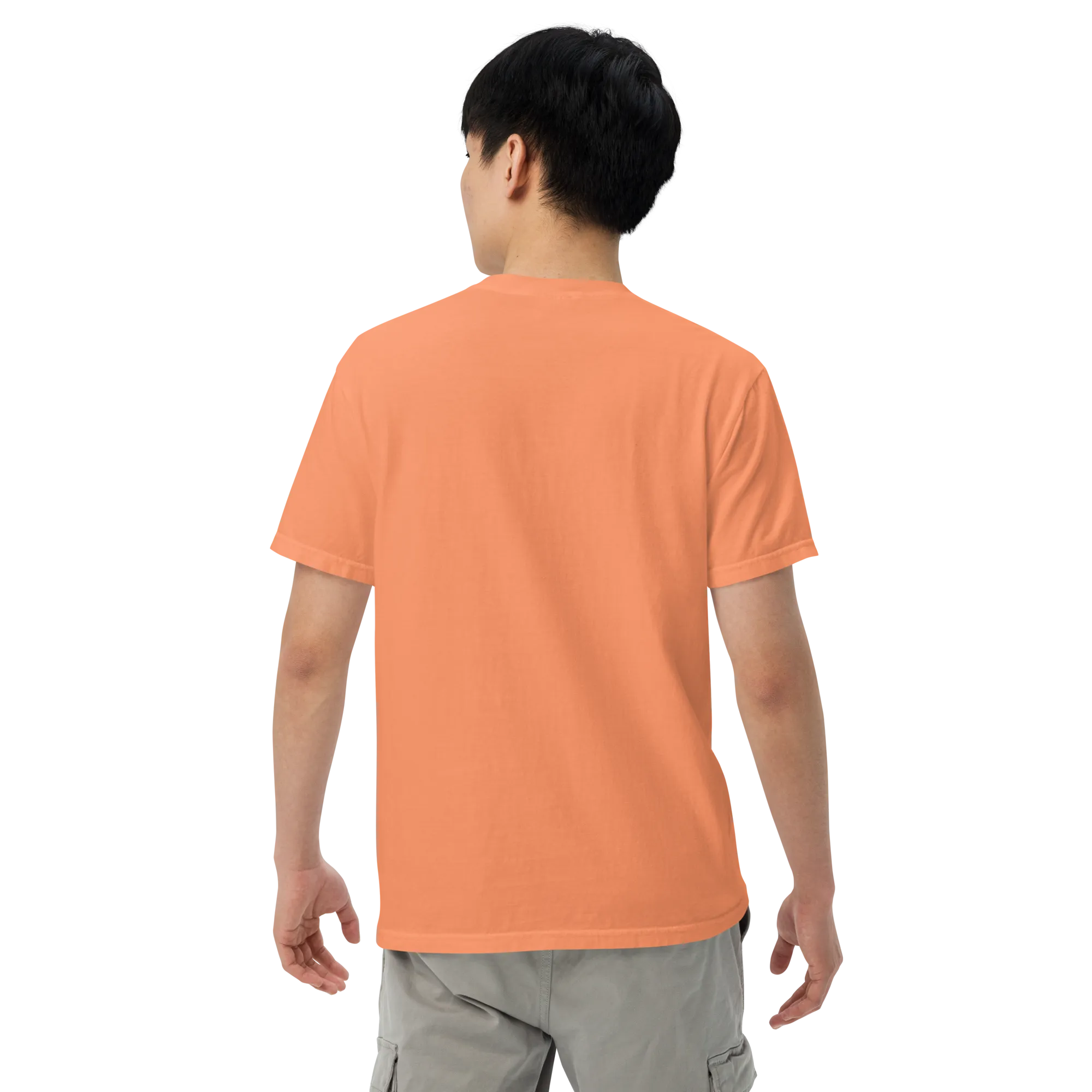 Canis Alpine heavyweight t-shirt
