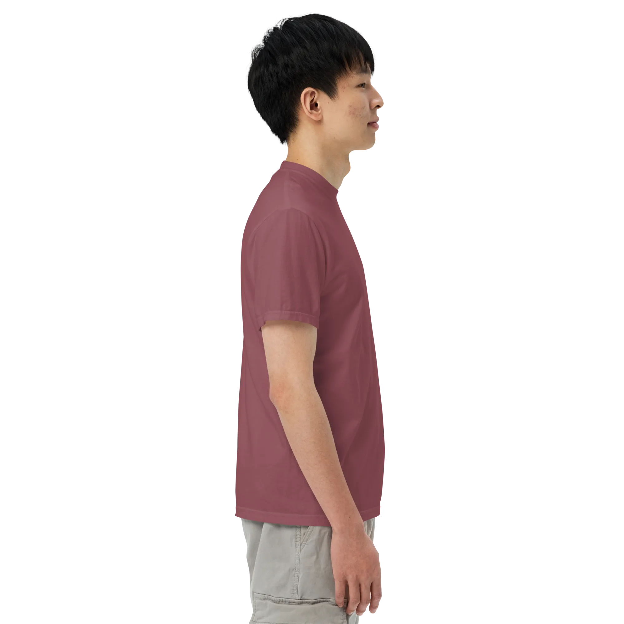 Canis Alpine heavyweight t-shirt
