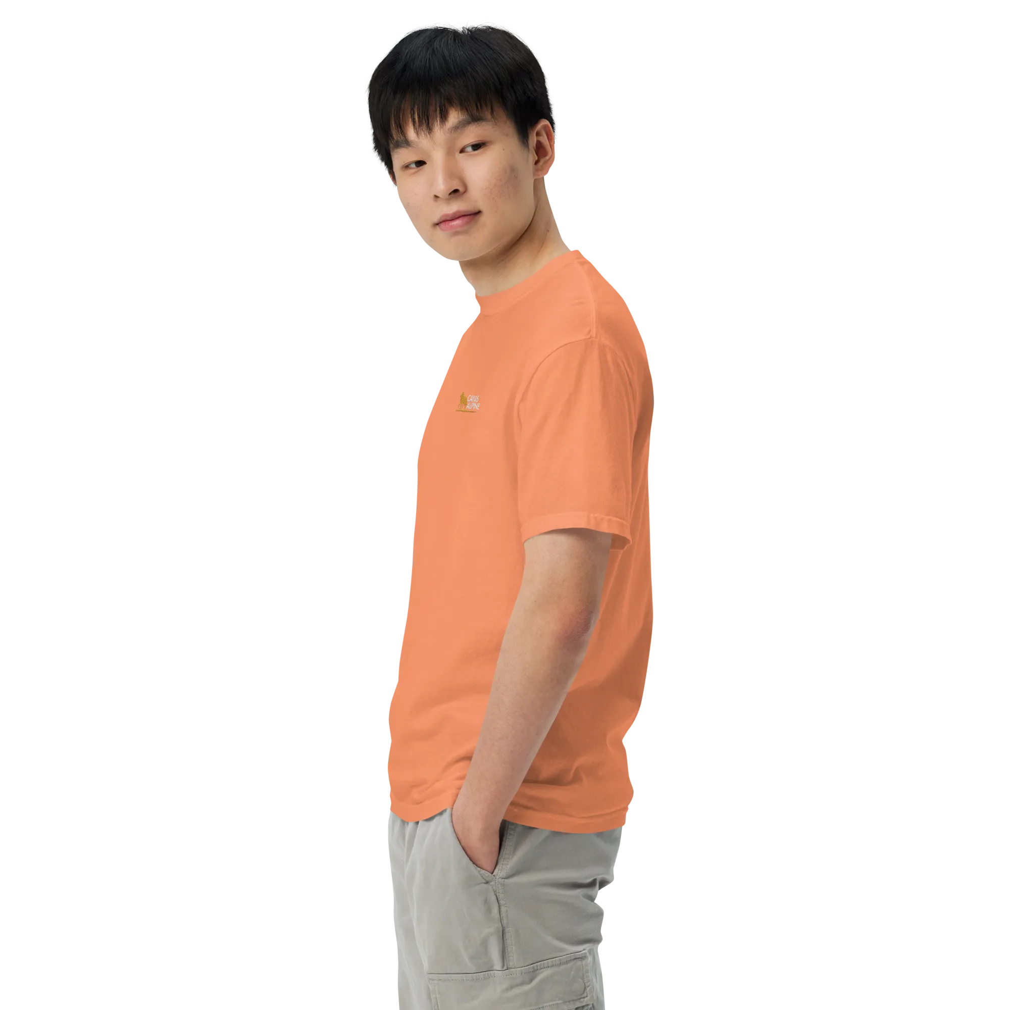 Canis Alpine heavyweight t-shirt