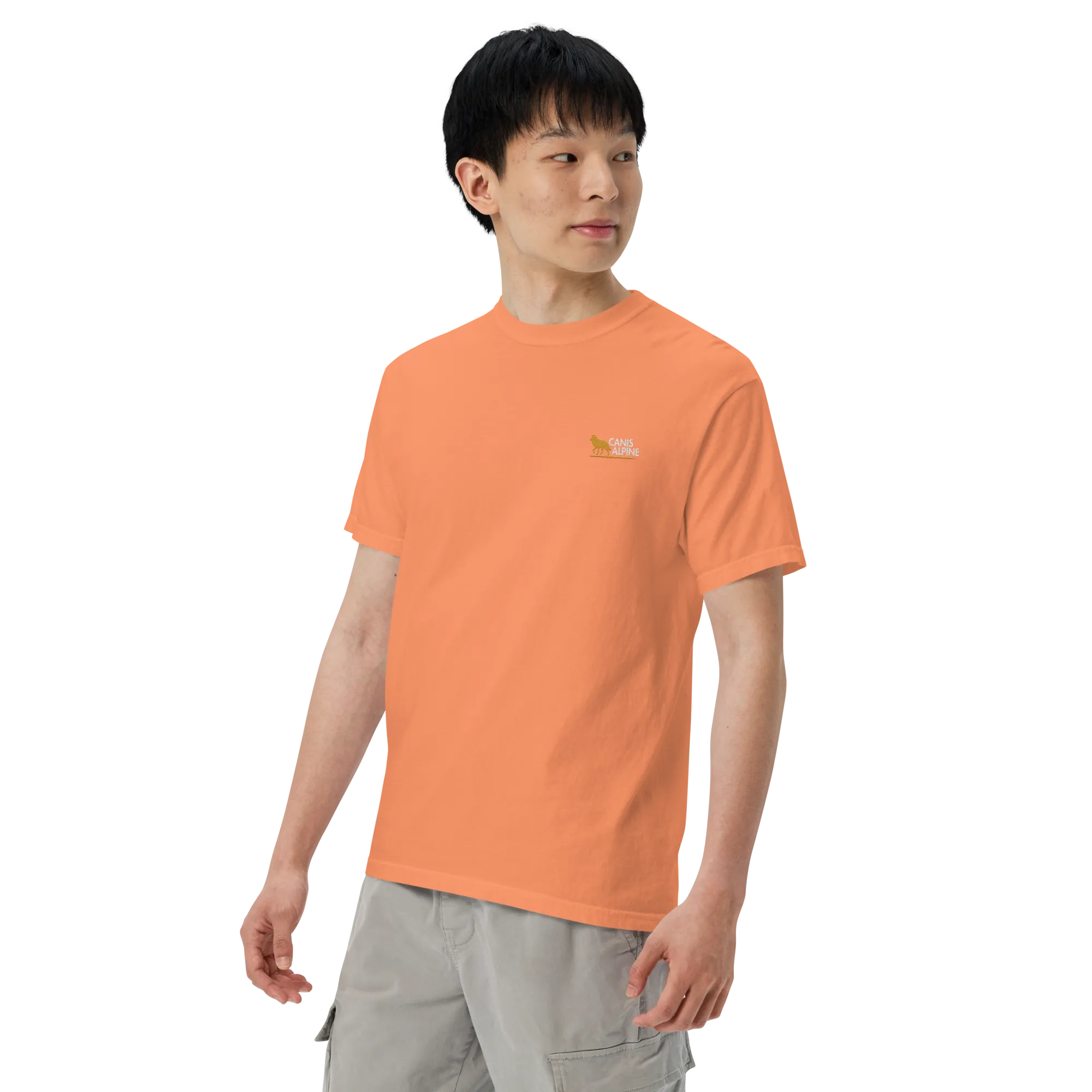Canis Alpine heavyweight t-shirt