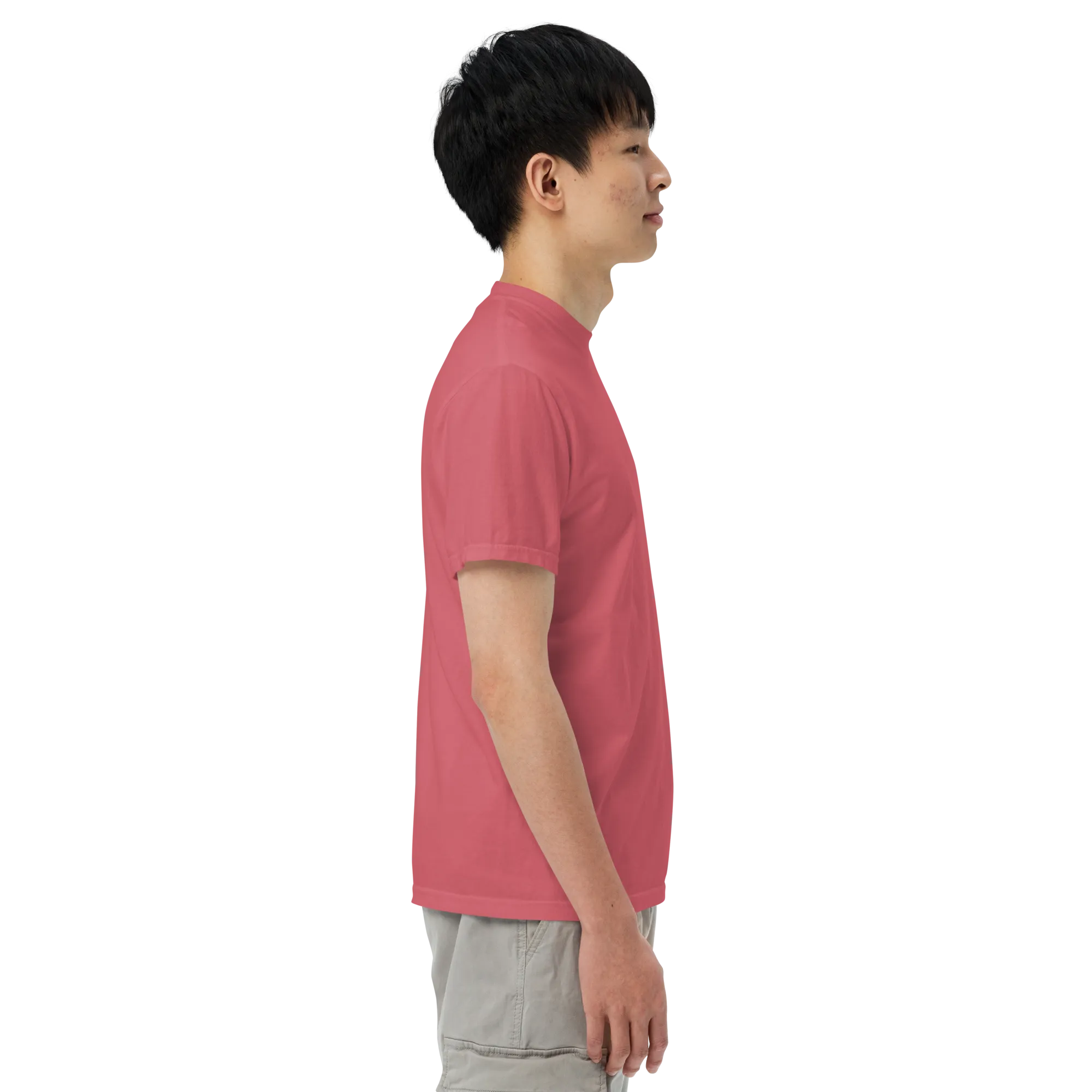 Canis Alpine heavyweight t-shirt